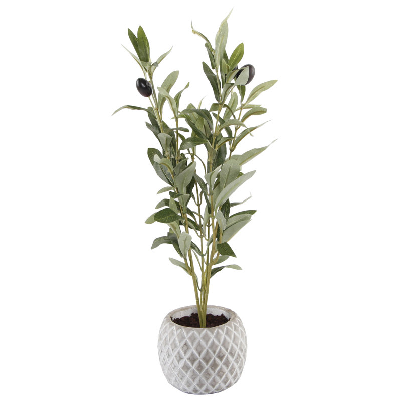 Olive artificielle 10 po en pot