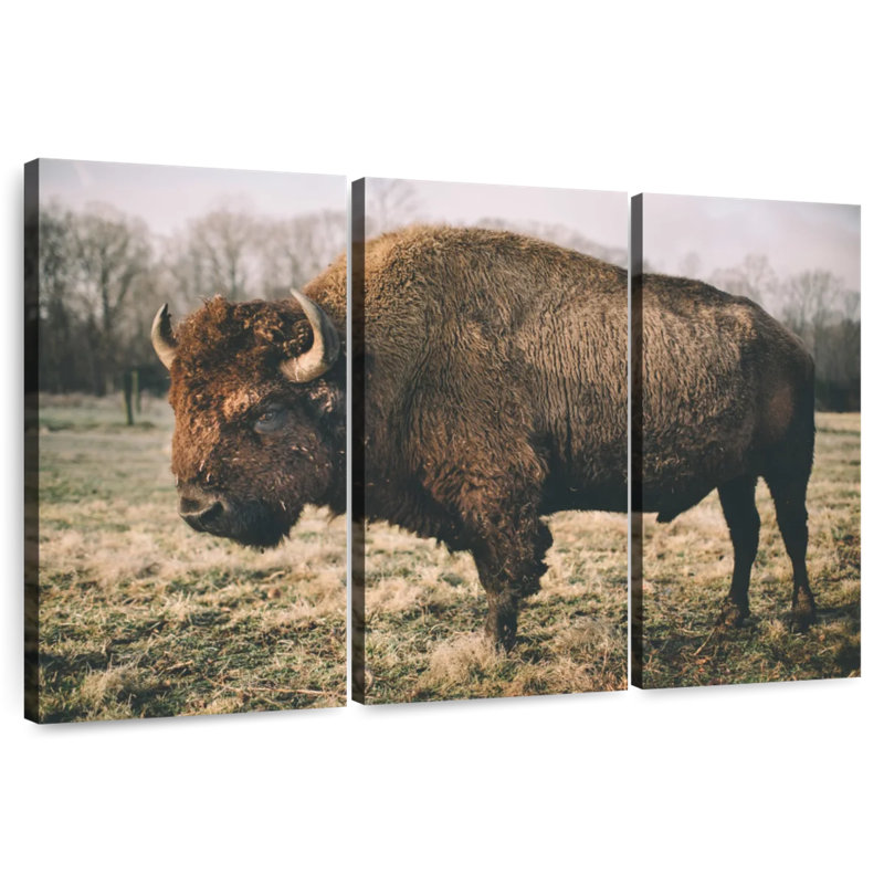 Brampt Solitary Bison IV, 48" H x 74" W