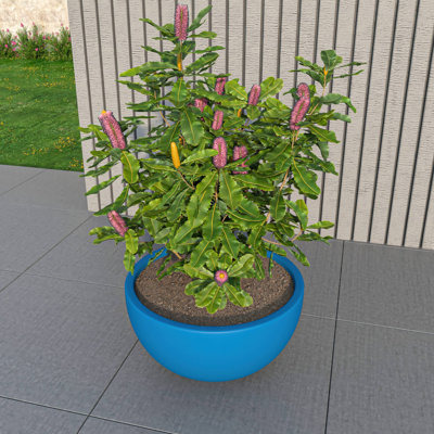 Trevonna Round Bowl-Shaped Fiberstone Planter Handmade MGO Clay Plant Pot with Drainage Holes for Indoor & Outdoor Use