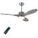 Aaronjames Ceiling Fan with Light Kit