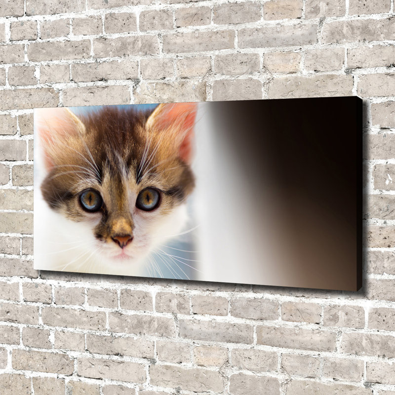 Small Cat - Wrapped Canvas Print