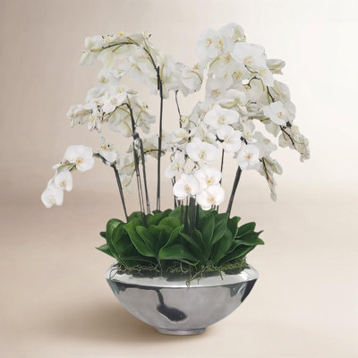 Orchid Floral Arrangement