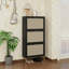 Range-chaussures 3 portes en rotin, moderne - standard