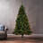 7' Noble Hinged Tree With 500 Multilights-UL,Dia:48