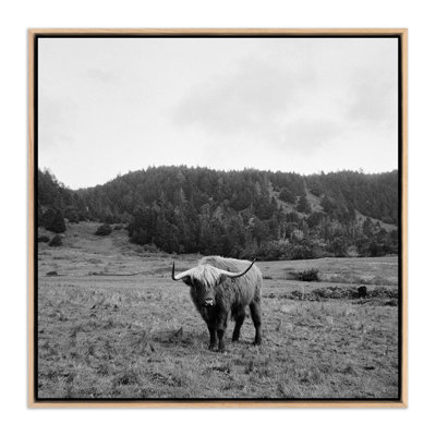 Highlander/Elk, Ca Print by Wesley And Emma Teague