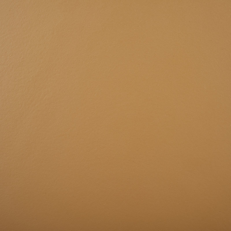 Laylie Leather Upholstered Dining Chair, Natural, Natural