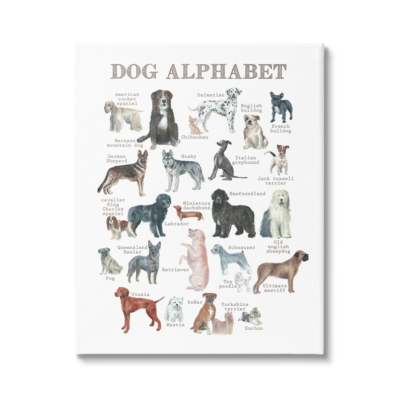 «Dog Alphabet Multiples Races», impression sur toile tendue, H 20 po x l 16 po x P 1,5 po