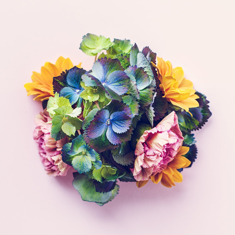Fleurs fraîches, nature morte par Knape, H 30 po x l 30 po