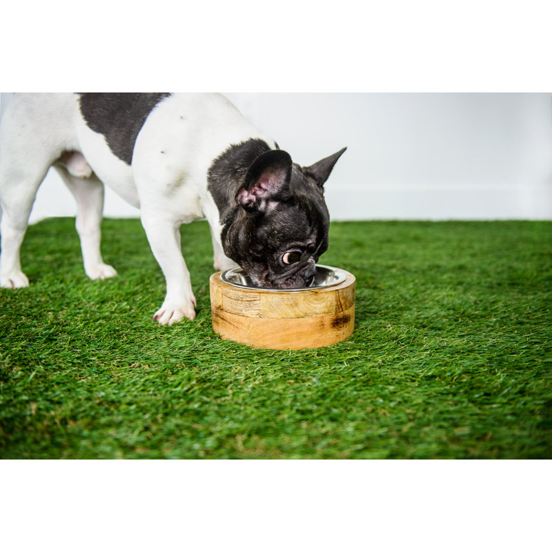 Pet Bowl, Medium (26 fluid oz)