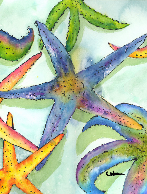 Drapeau de jardin 2 côtés starfish