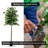 Hand-Made Primrue Modern 6.5'' Artificial Ficus Tree