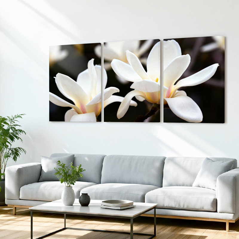 Ensemble de 3 tableaux sur toile tendue représentant des fleurs de magnolia blanc, pour la décoration du salon et de la chambre.