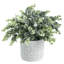 24.89 Cm Faux Eucalyptus Plant in Pot