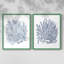 «Summer Herb Garden Sketches I», reproduction encadrée de qualité supérieure - prête à être accrochée - aucun clou requis - aucun clou requis-587786097-587786099