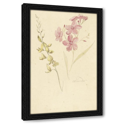 Oleander en brem (1677 - 1755)