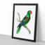 Great-Billed Parrot by George Shaw - Framed Print-55620859-55620860