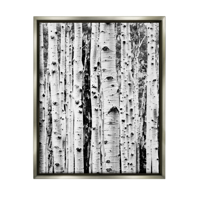 «Millwood Pines Birch Trees Forest», art mural encadré par Sissi et Seb, H 21 po x l 17 po x P 1,7 po