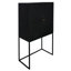 Armoire 31,5 po x 16,5 po x 60 po en noir - contemporaine et pratique avec deux portes pour l'intérieur de la maison.