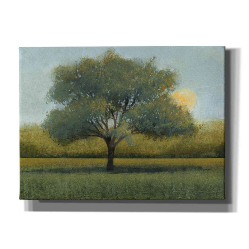 «Sunrise I» par Tim O'toole, art mural sur toile, H 40 po x l 54 po x P 1,5 po