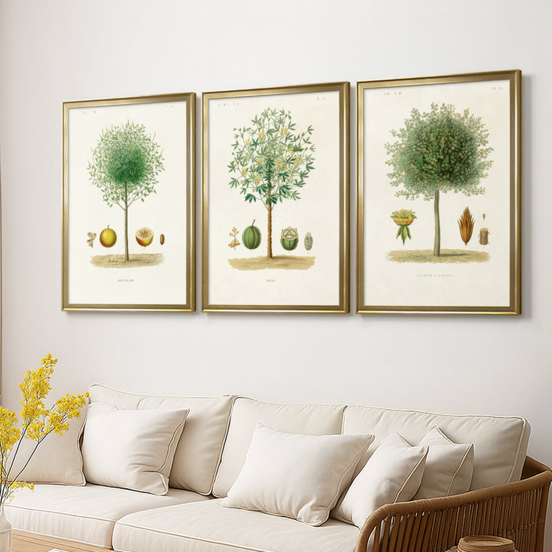 Arbre antique avec fruit VII - Toile tendue avec châssis sur mesure - 3 pièces, H 15 po x l 19 po, Doré