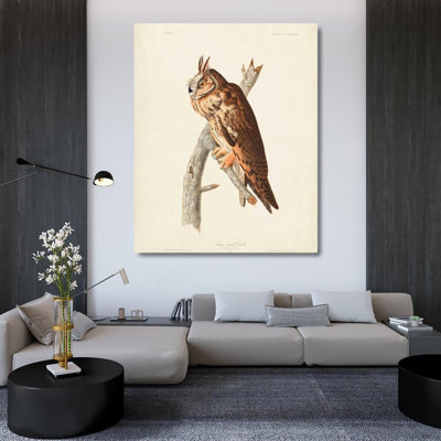 Loon Peak® Audubon, John James Gallery, art sur toile tendue: Pl 383, hibou long