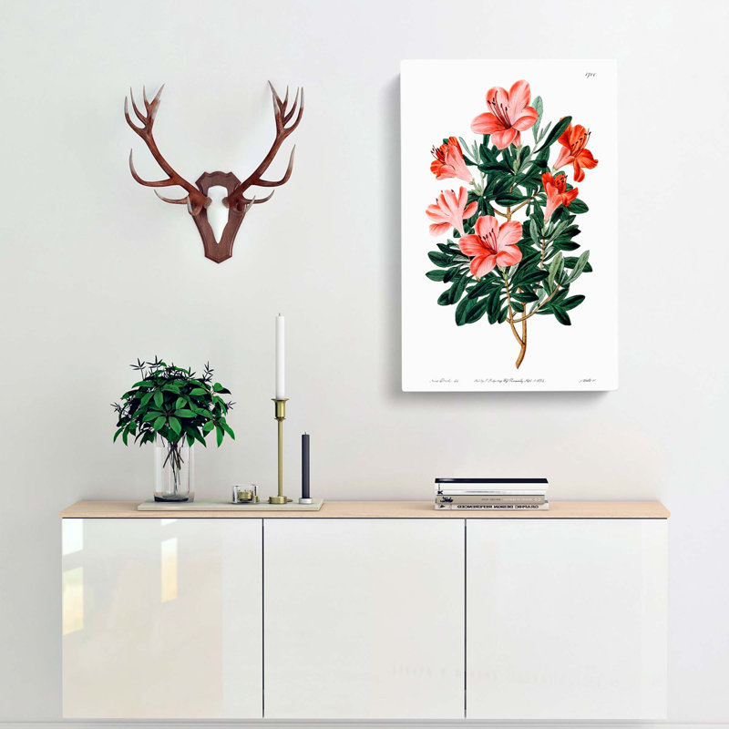 Chinese Azalea - Wrapped Canvas Print, 76cm H x 50cm W x 3cm D