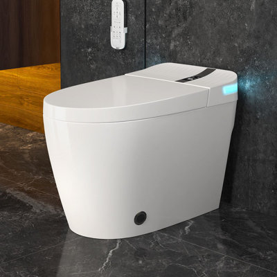 Elongated Smart Toilet with Bidet Wash,  Heated Seat, 1.28 Gallons Auto Flush, Warm Air Dryer, Foot Sensor Flush & Night Light (Remote Included)