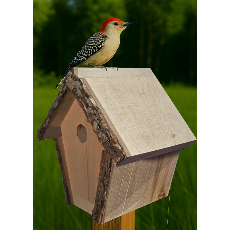 Maison d'oiseaux rustique de style chalet