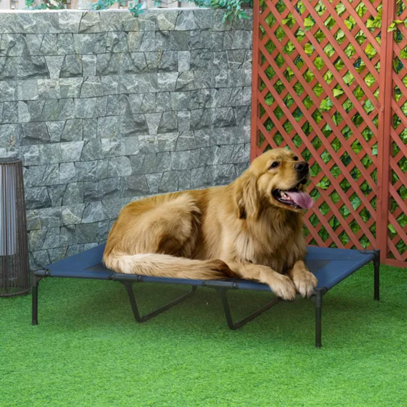 Lit pour chien avec sac de transport 48 po x 36 po