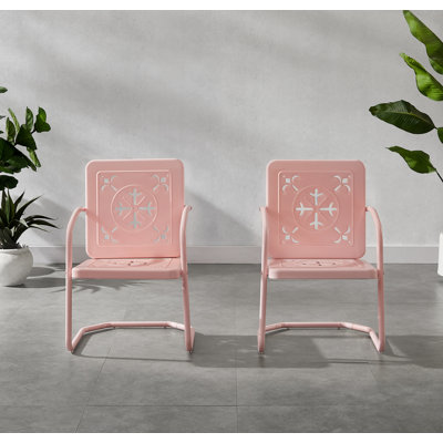 Passmore 2-piece Retro Outdoor Chair Set