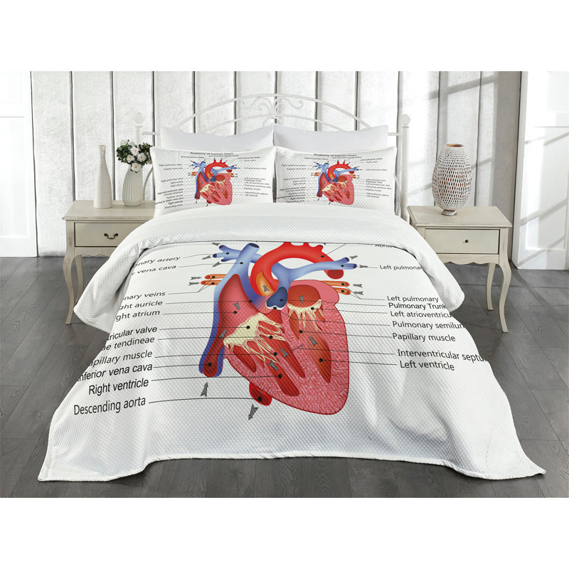 Ambesonne Science Bedspread Set Human Body Organ Multicolor, King Bedspread + 2 Standard Shams