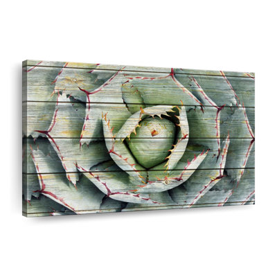 Agave rustique sur toile
