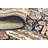 Jackson Oriental Indoor Rug-393454046-389024121