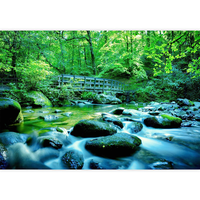 Murale à peindre sur les arbres verts au-dessus de Rocky River Rapids, L 66 po x l 96 po