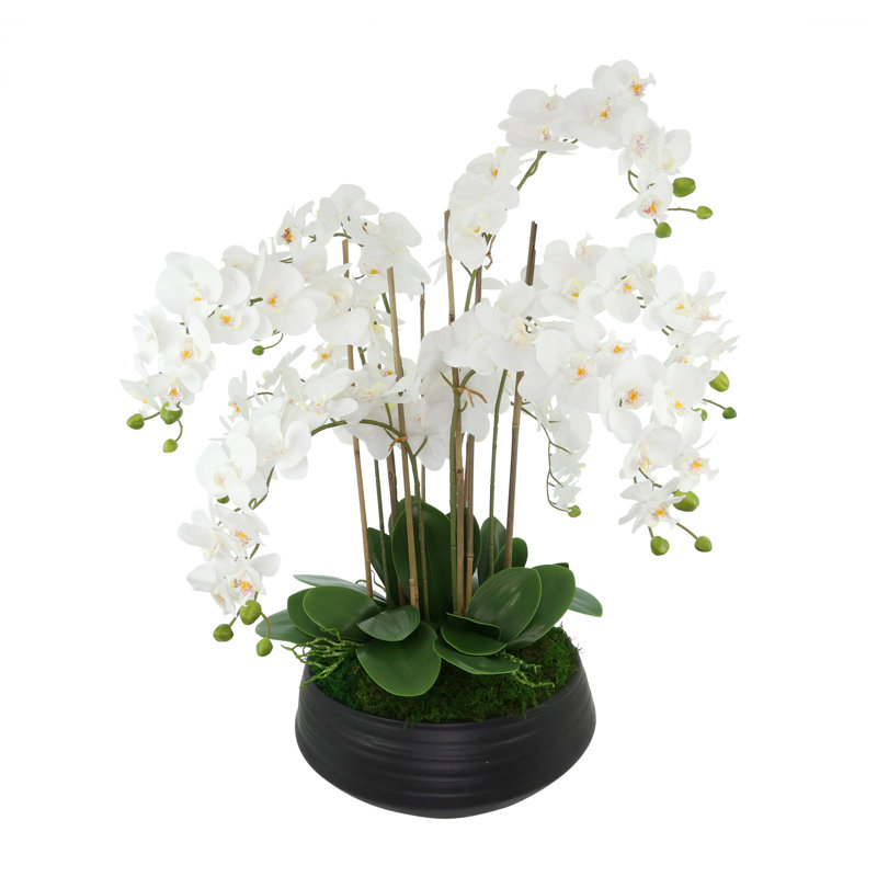Orchid Centerpiece in Ceramic Pot, White
