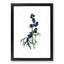 Wolfsbane Flowers Illustration - Picture Frame Painting Print-55613091-55613096