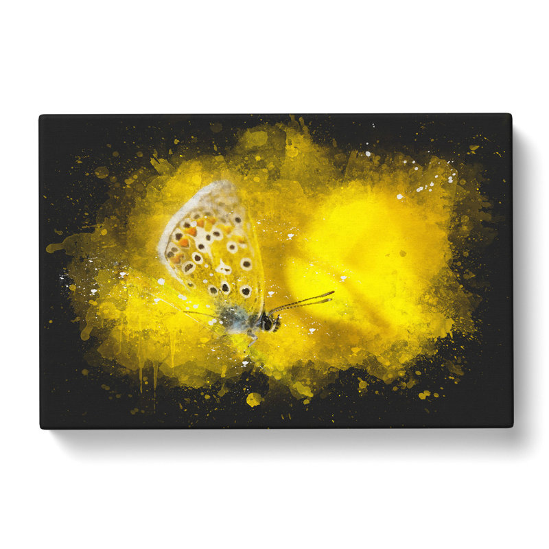 Yellow Butterfly - Wrapped Canvas, 50cm H x 76cm W x 3cm D