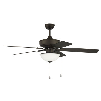 Ceiling Fan with LED Lights