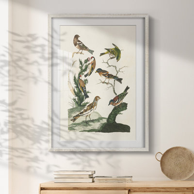 Haliyah -Gallery Wrapped Canvas