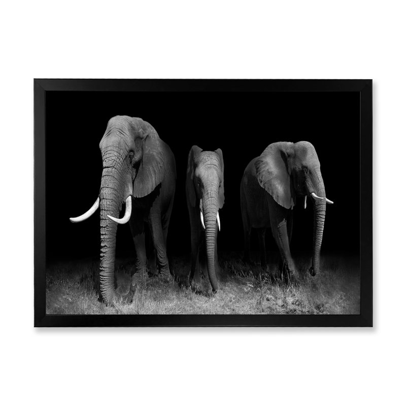 Éléphants en noir et blanc - art mural traditionnel sur toile, Cadre photo noir, H 8 po x l 12 po x P 1,5 po
