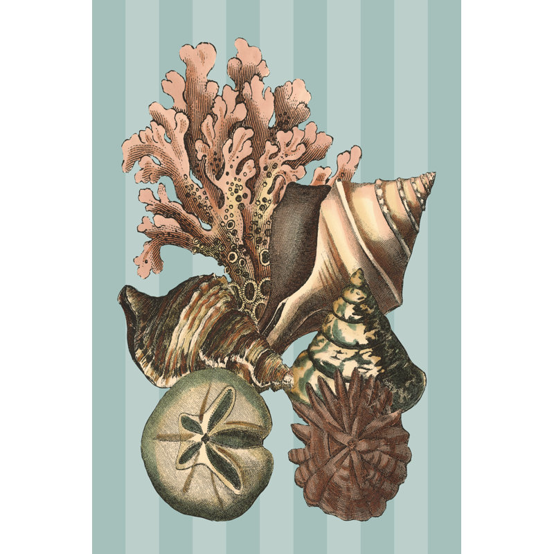 Shell & Coral On Aqua I (D) by Vision Studio - Wrapped Canvas Painting, 46cm H x 30cm W