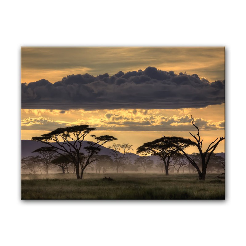« good even tanzanie »-reproduction de photo sur toile enroulée, H 12 po x l 16 po