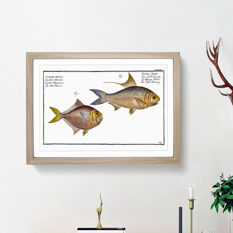 Mackerel and Herring Fish by M.E. Bloch - Framed Print, 36cm H x 48cm W x 2cm D, Oak Framed