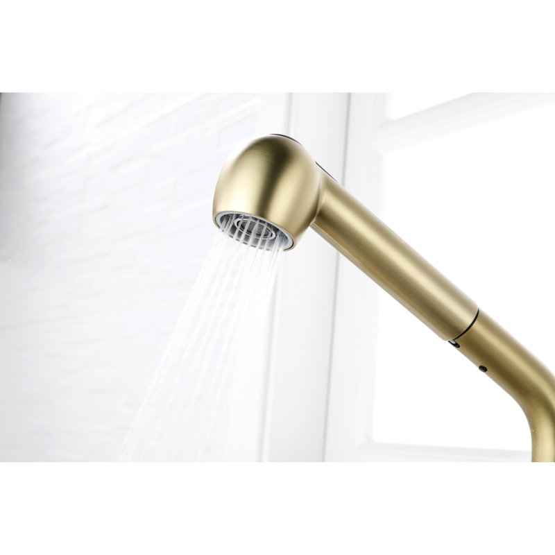Robinet de lavabo extractible simple à fonction de jet double en acier inoxydable doré, buse haute rotative à 360 °, débit d'eau et température facile, conception rouille avec acier inoxydable pour la lessive, rotation de la buse,