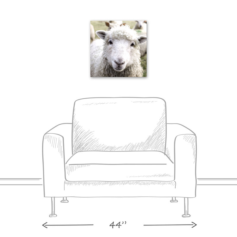 Curious Sheep sur toile, H 12 po x l 12 po x P 1,25 po