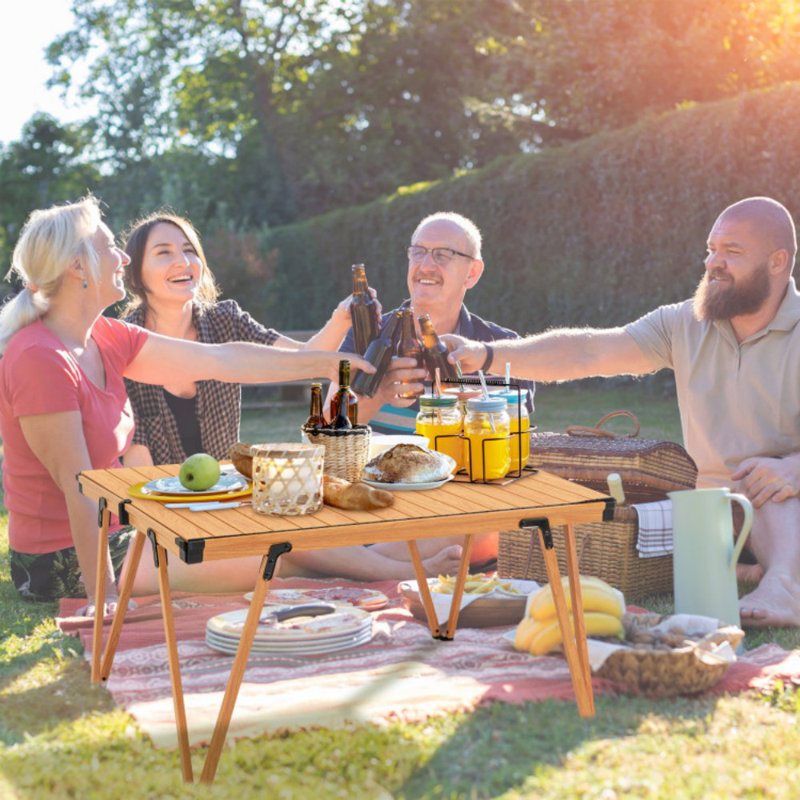 Arlmont Folding Camping Table Picnic Table With Storage Bag