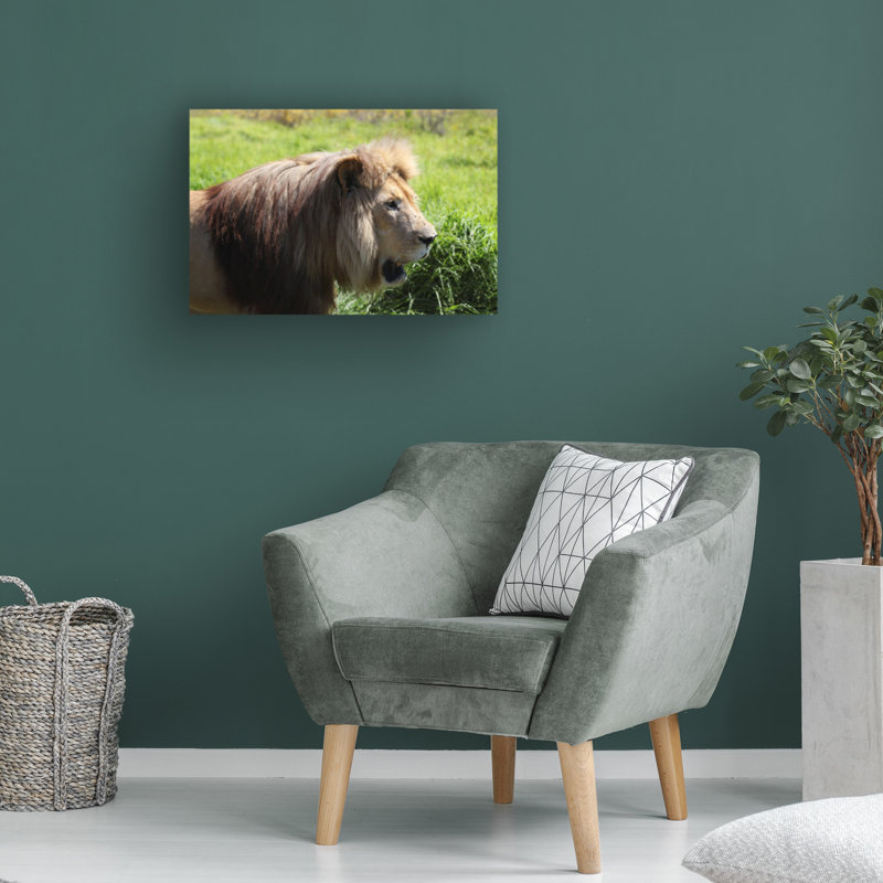 Art sur toile, «Bob Bob Langrish Lioness», H 30 po x l 47 po