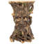 Craggy Bark Tree Ent Side Table