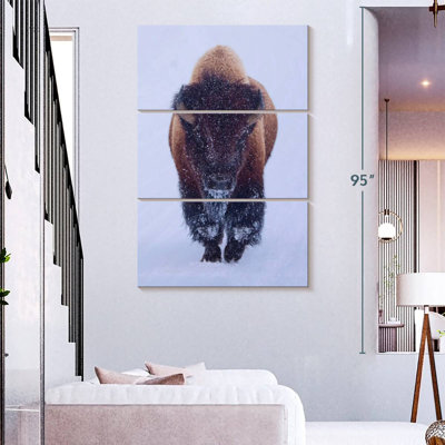 Bison Brampt dans la neige