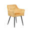 Almasi Tufted Velvet Armchair-1708024411